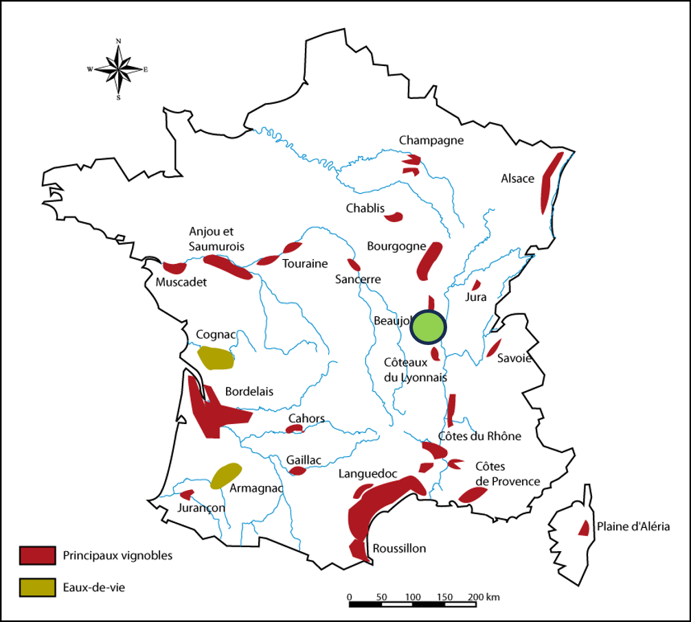 Carte-25