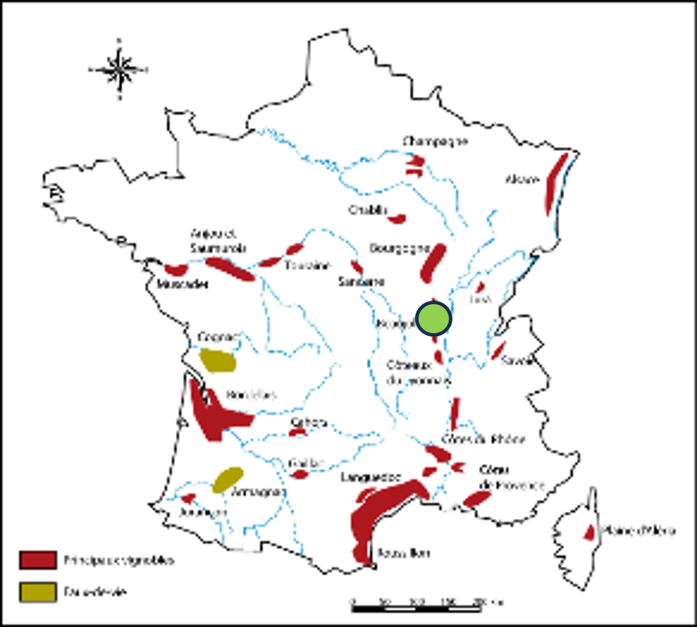 Carte-10