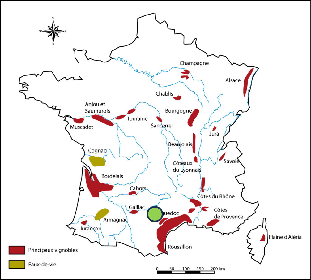 Carte-13