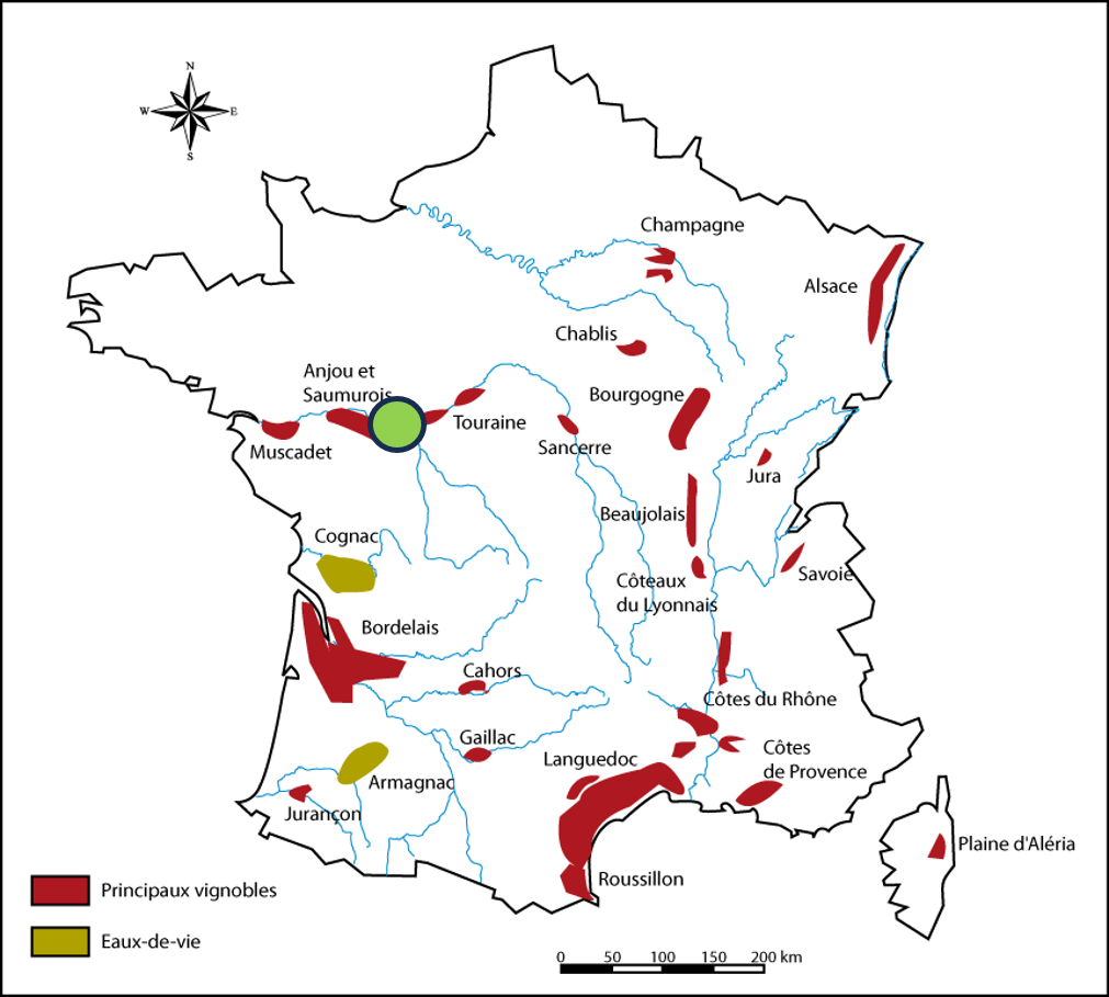 Carte-29
