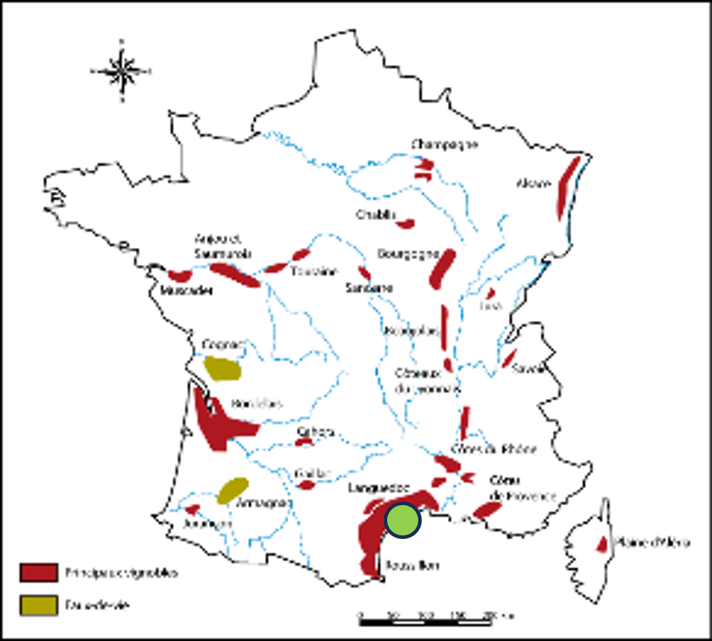 Image2