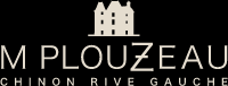 Logo-30